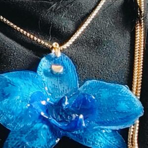 Orchidea blu