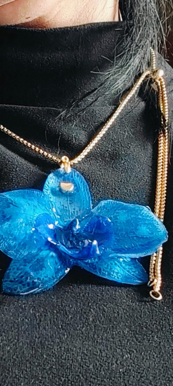 Orchidea blu