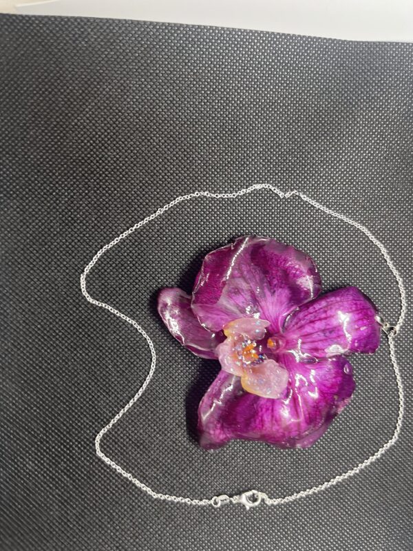 Orchidea viola - immagine 4