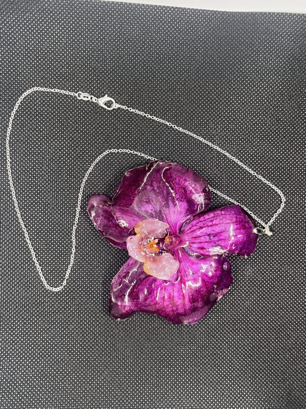 Orchidea viola - immagine 3