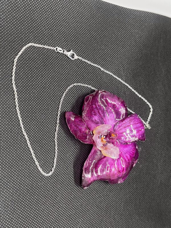 Orchidea viola - immagine 2