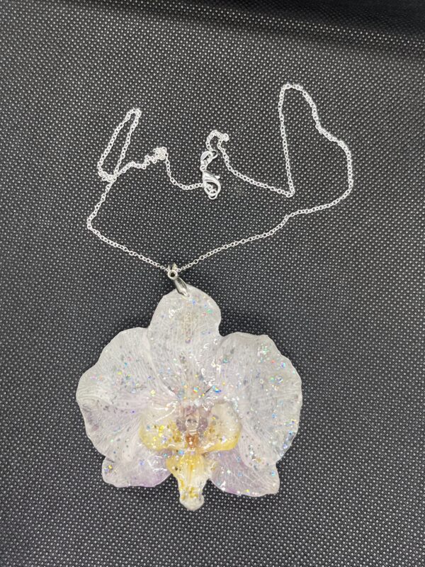 Orchidea bianca - immagine 3