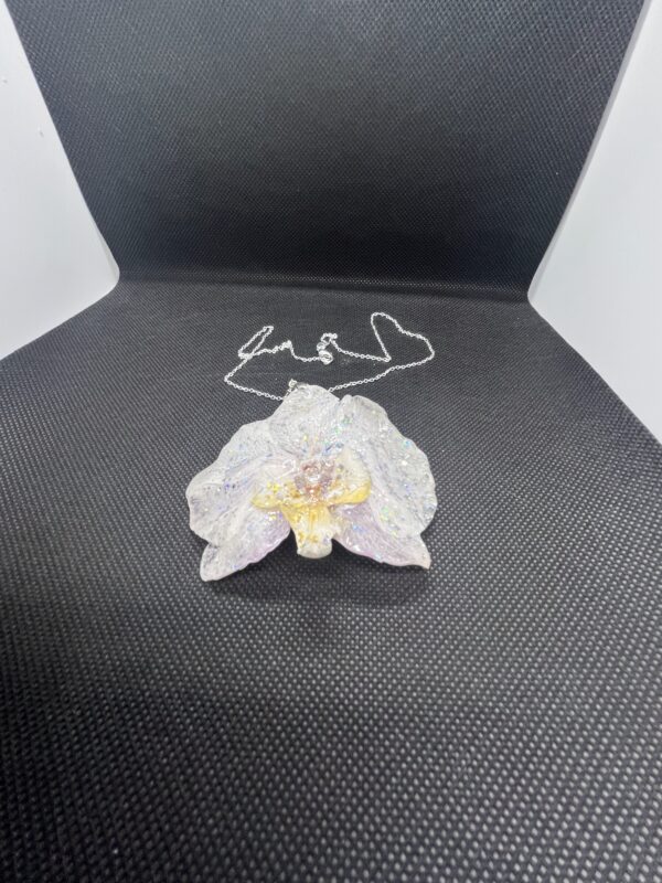 Orchidea bianca - immagine 2