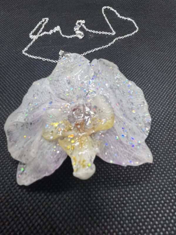 Orchidea bianca - immagine 5