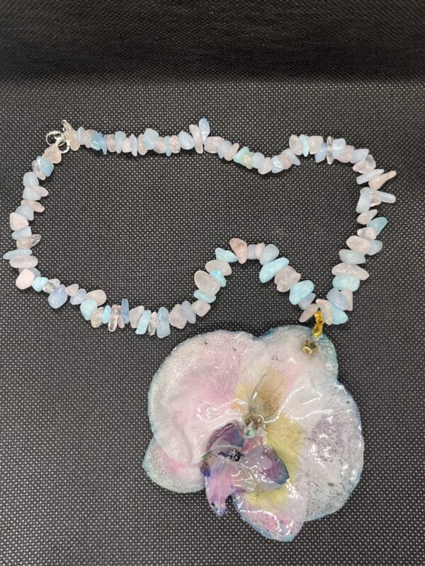 Orchidea rosa - immagine 3