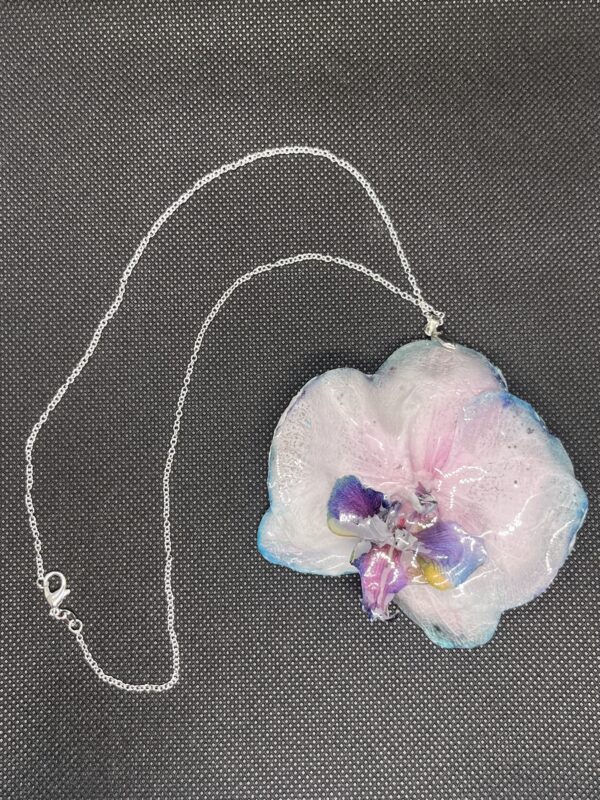 Orchidea rosa