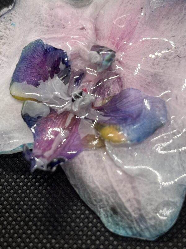 Orchidea rosa - immagine 3