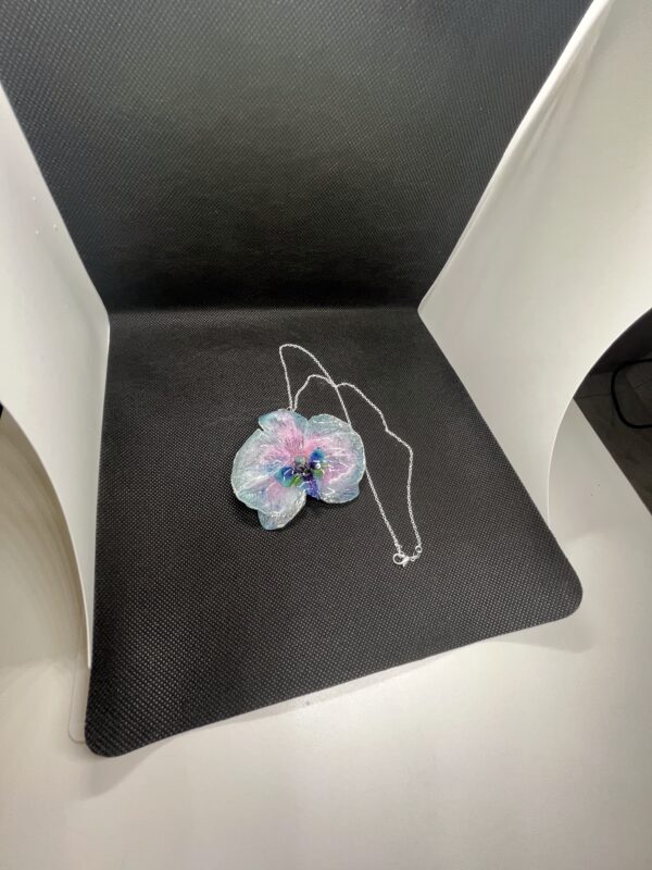 Orchidea rosa - immagine 5