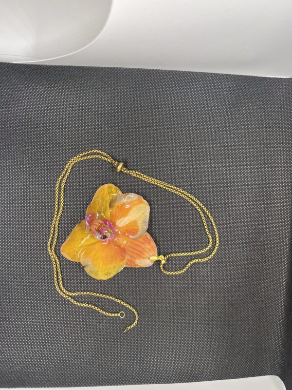 Orchidea gialla - immagine 4