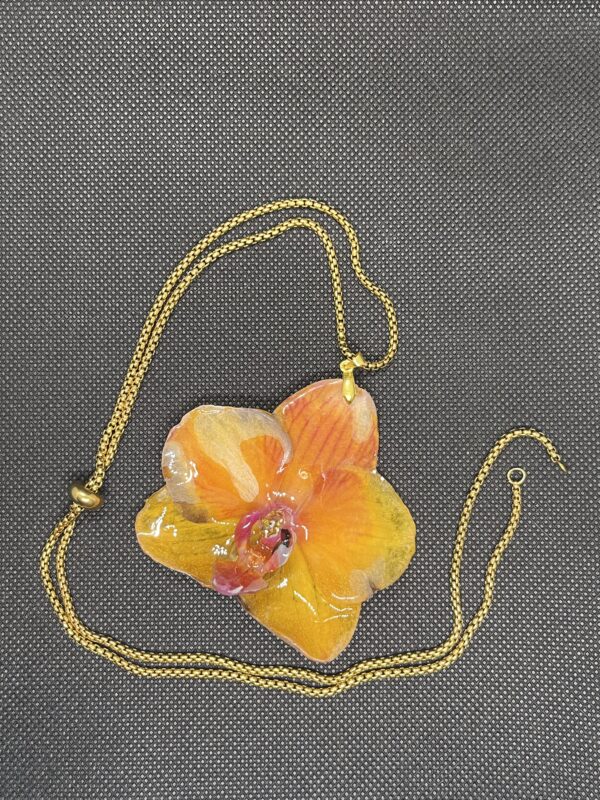 Orchidea gialla