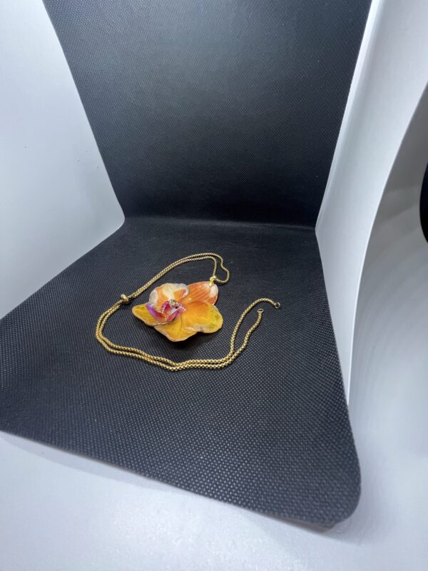 Orchidea gialla - immagine 3