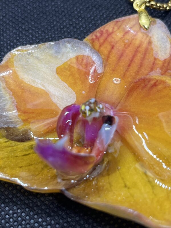 Orchidea gialla - immagine 5