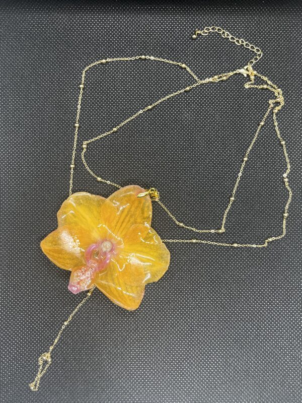 Orchidea gialla nc - immagine 2