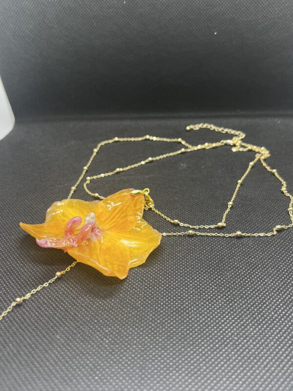 Orchidea gialla nc - immagine 5