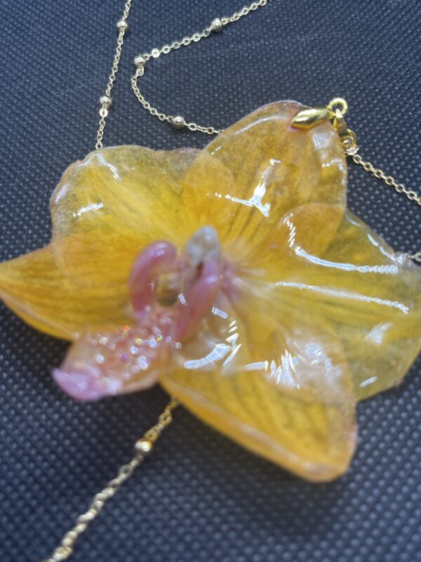 Orchidea gialla nc - immagine 4